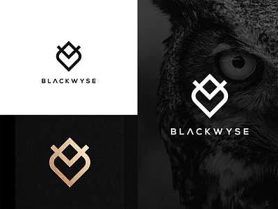 BlackWyse animal bird branding design geometric iconic logo logodesign minimalist minimalistic owl
