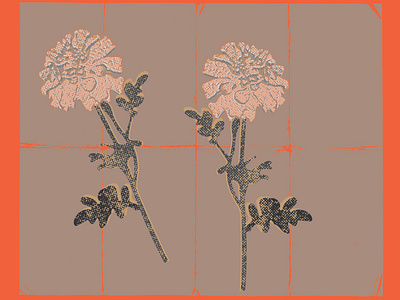 Orange Aura adobe illustrator design flat flower halftone illustration illustrator marigold marigold flower orange texture true grit texture supply