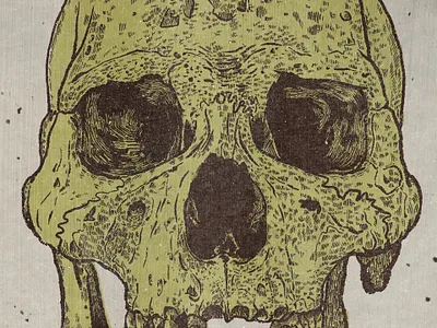 09/03/2021 - Skull study human skull ipad sketch practice retrosupply co skull skull study textured true grit texture supply