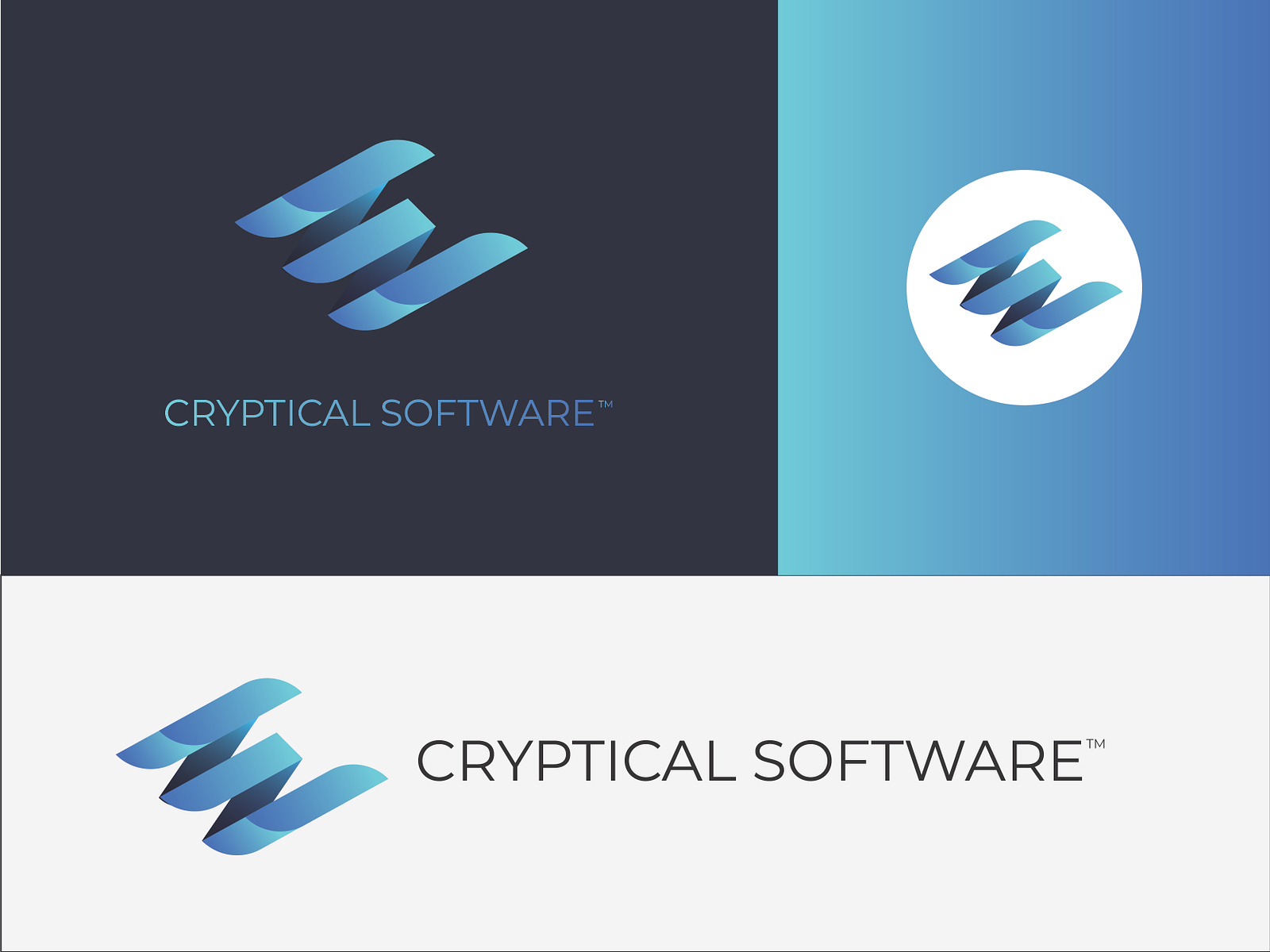 cryptical software logo concept by Nasir mubarik on Dribbble