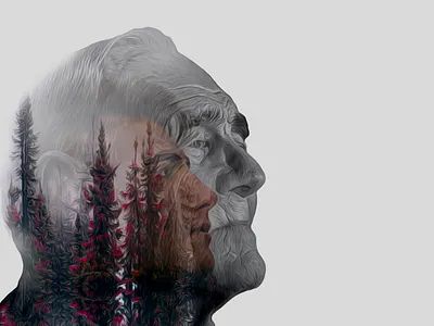 19 animation art branding design graphic design illustration logo motion graphics ui ux