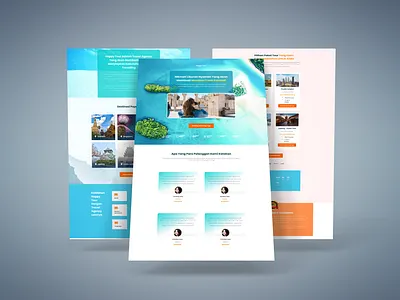 Web Travel ui web design website wordpress