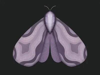 Butterfly 2d abstract adobe adobe illustration art artwork clean colorful design digital art drawing flat graphic design illustration minimal modern pattern simple texture vector