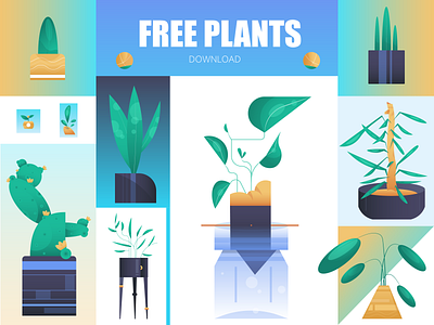 House plants - FREE ASSETS assets avocado cactus decoration design eco ecology flat flower free geometrical gradient green grow illustration lifestyle office plant pots vector