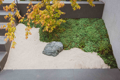 Jardin contemporain zen aménagement extérieur zen aménagement jardin zen art contemporain art zen design jardin japonais escalier zen jardin contemporain zen jardin japonais jardin solaire jardin zen jardin zen japonais mousse japon rocher japonais zen