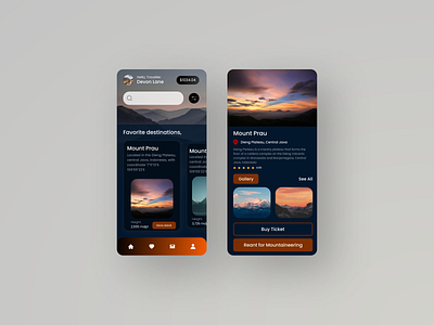 Mountaineering App 3d animation app appdesign branding design designer destination destinationapp games graphic design illustration logo ui ux