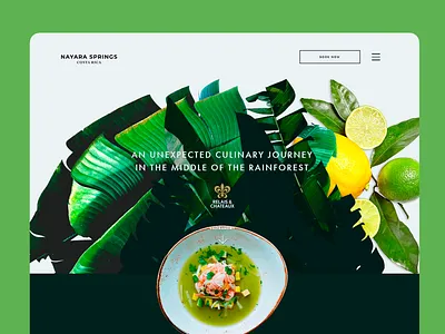 Nayara Website Design animation design graphic design web website