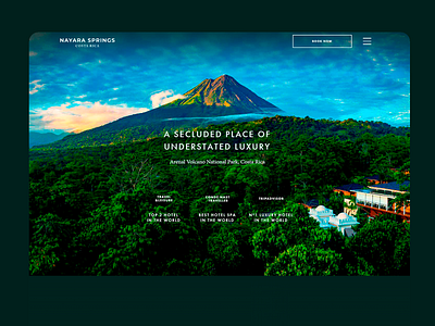 Nayara Website Design