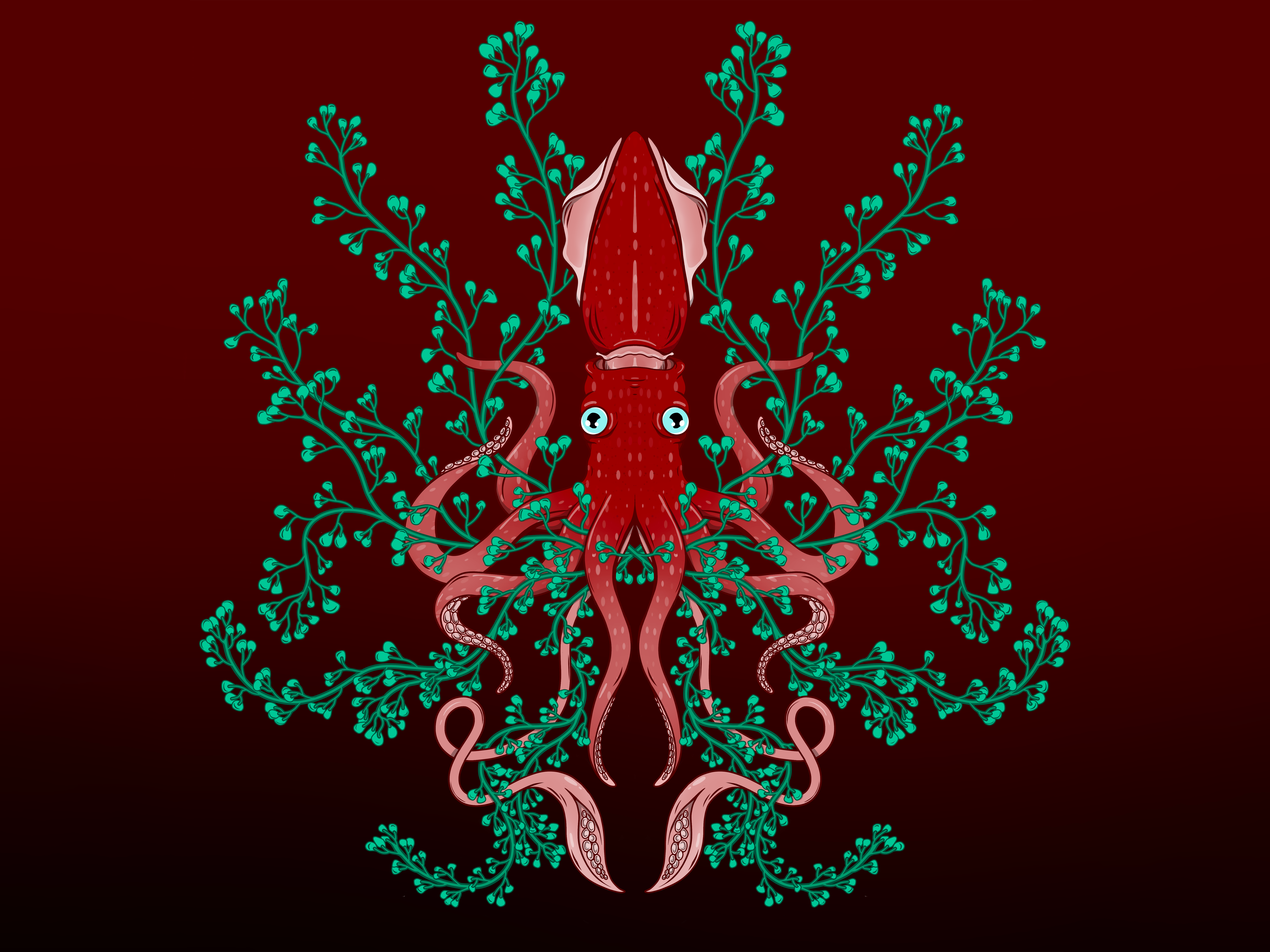 Example of Strawberry Squid