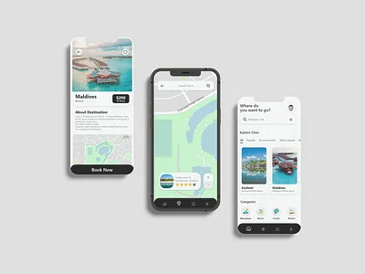 Tour and Travel App - UI Design appdesign ui uiux ux web