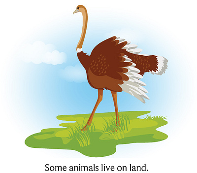 ANIMAL ILLUSTRATION DESIGN any kind of graphics childrens illustartion desigining design graphic design illustration illustration design