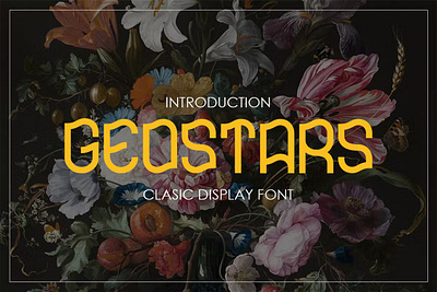 GEOSTARS - Display Font branding design display display font font graphic design illustration logo serif typeface typography