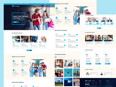 University Education Web Template Design Light Version design e learning education illustration learning online class typography ui uiux design university ux vector