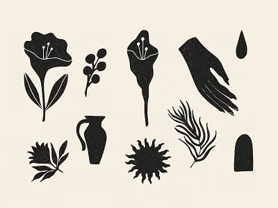 Illustrations for brand Packaging branding design floral flower illustration nature packaging sustainable