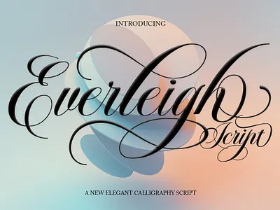 Everleigh Script Font branding calligraphy cards design elegant font illustration logo modern wedding