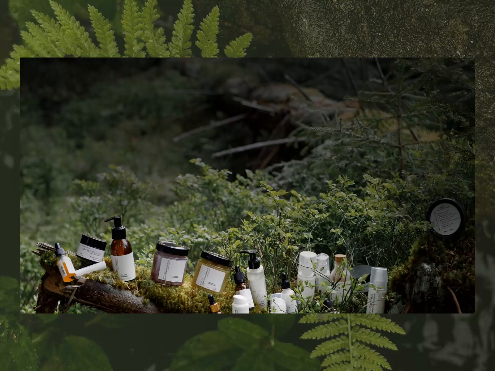 Example of Full Website Development