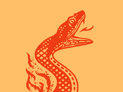 Smokin' Hot design fire illustration snake vector