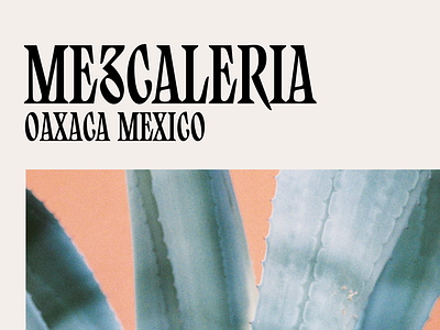 Mezcaleria brand identity branding condensed design display font graphic design lettering letters logo logotype mezcal monogram packaging type typography vector