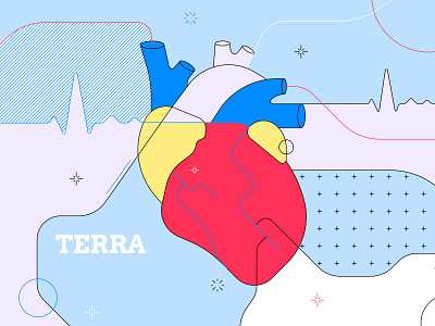 Illustrations for TERRA Health Data API details graphic graphic design health healthcare heart illustration medium model pulse technology tracker vector