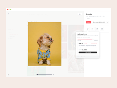 Usage Terms and Licensing creative commons license licensing product design ui usage rights