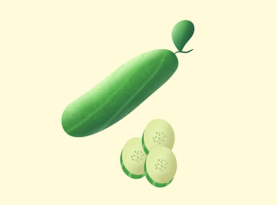 Cucumber - illustration cucumber digital art illustration procreate vegetables