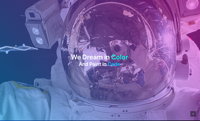 We dream in color branding design graphic design illustration vector