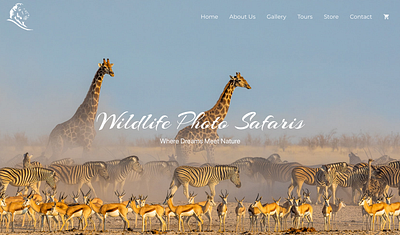 Wildlife Photo Safaris app branding design graphic design illustration logo typography ui ux vector