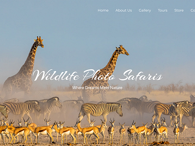 Wildlife Photo Safaris app branding design graphic design illustration logo typography ui ux vector