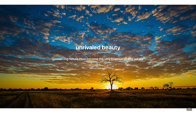 Unrivaled Beauty app branding design graphic design illustration logo typography ui ux vector