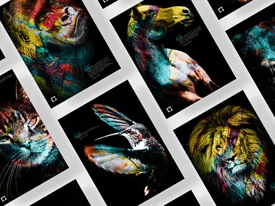 Free animals – Posters animal animals colors design graphic graphic design image photo photo design photography poster posters typography