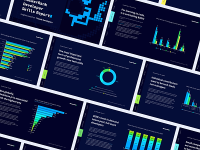 Developer Skills Report - Data Visualization branding charts color palette dashboard data data design data visualization data viz graphs layout modern product design report tables trendy typography ui user experience user interface ux