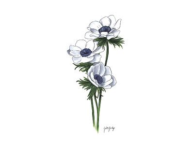 Anemone Marker Drawing