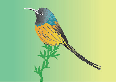 Illustration bird illustration vector