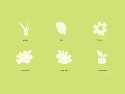 kelpy shapes branding color design fertilizer flat flower graphic house plant illustrator kelp minimal nature plants shapes vector