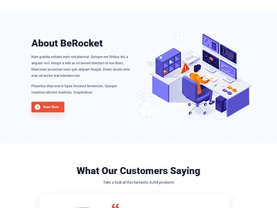 BeRocket design typography ui