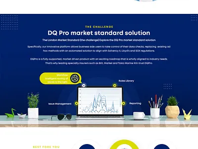 DQ-Pro design typography ui