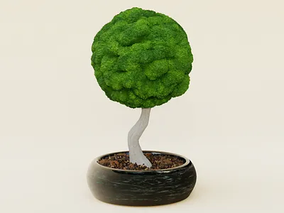 Moss Tree