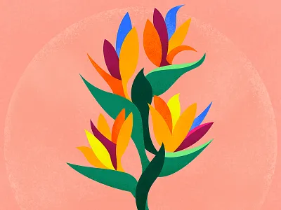 Bird-of-paradise bird of paradise bird of paradise botanical colorful crane flower drought flower illustration plant texture vector