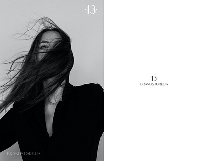 Logo "13 Brendstore.ua" branding design graphic design illustration logo