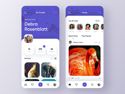 Social Network - Mobile App animals app app design mobile app mobile app design mobile design mobile ui network photos social app social network