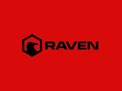 Raven branding graphic design logo