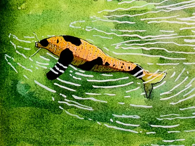 gold fish cartoon illustration childrens illustration color ink gold fish hand illustration watercolor