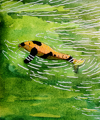 gold fish cartoon illustration childrens illustration color ink gold fish hand illustration watercolor