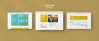 AncesTree WebSite design graphic design ui ux web