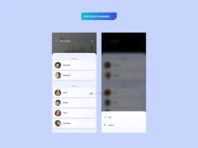 Edit/delete members style guide