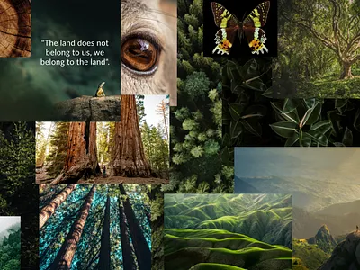 KLOROS - Moodboard branding moodboard ui ui design ux ux design