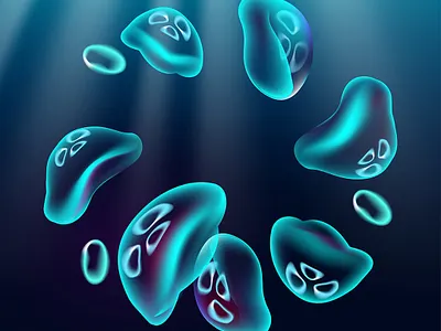 Jelly Fish illustration jelly fish vector