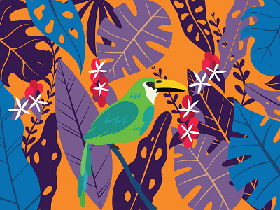 Specialty coffee label draw illustration ilustración label mx vector