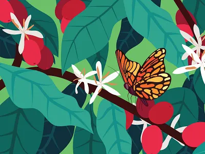 Specialty coffee labels draw illustration ilustración label mx