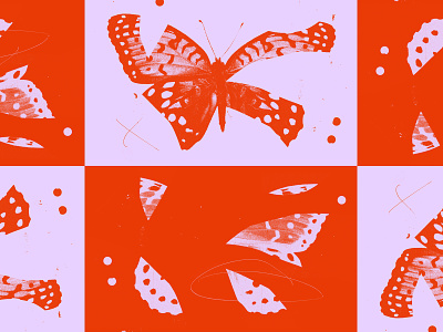 Plagiarism butterflies collage illustration